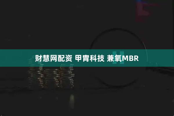 财慧网配资 甲胄科技 兼氧MBR