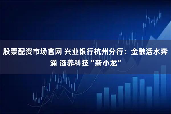 股票配资市场官网 兴业银行杭州分行：金融活水奔涌 滋养科技“新小龙”