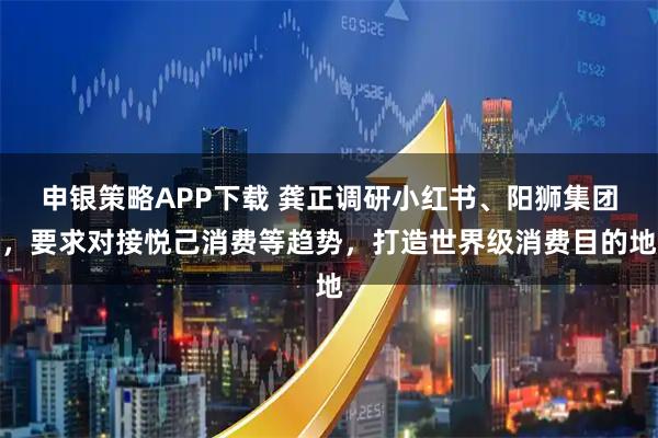 申银策略APP下载 龚正调研小红书、阳狮集团，要求对接悦己消费等趋势，打造世界级消费目的地
